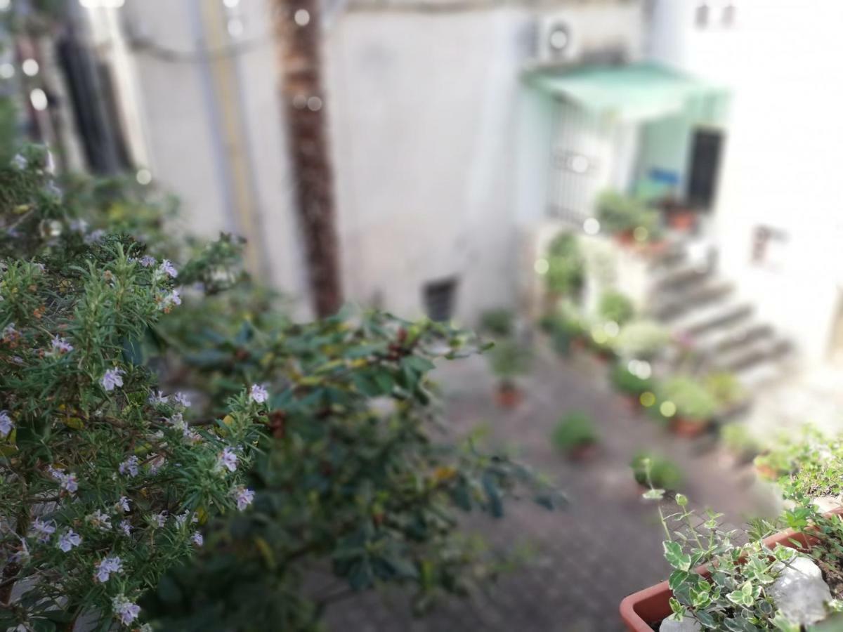 Apartment Centro Storico Piran Dış mekan fotoğraf