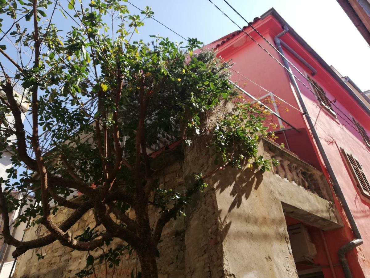 Apartment Centro Storico Piran Dış mekan fotoğraf